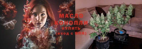 гидра Дмитров