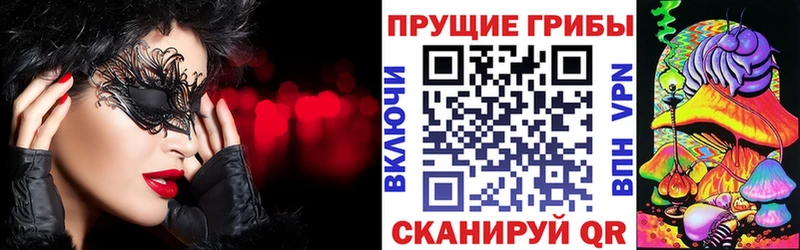 Галлюциногенные грибы мицелий  shop телеграм  Заинск 
