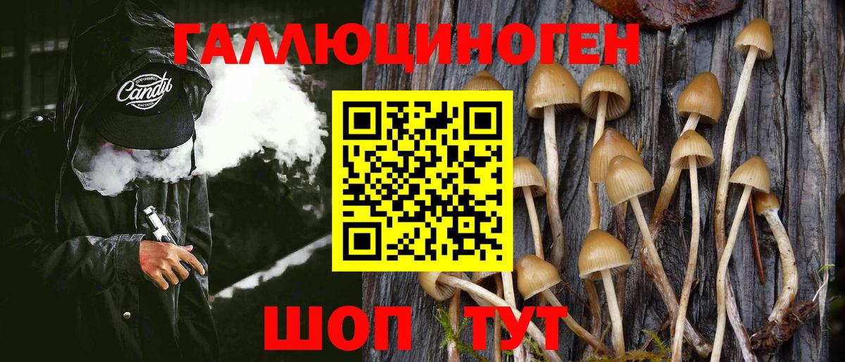 Галлюциногенные грибы прущие грибы  Вход с VPN  Псилоцибиновые грибы MAGIC MUSHROOMS  Заинск 